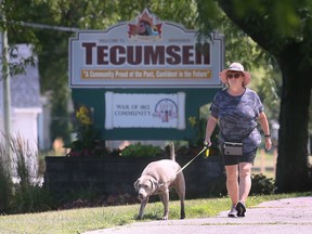 WINDSOR, ONTARIO. AUGUST 10, 2022 -  Julie Taylor walks her dog Molly on the Ganatchio Trail near Tecumseh on Wednesday, August 10, 2022.
