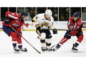 First-year Windsor Spitfires Tomas Hebek (82) and Noah Morneau (11) close in on Sarnia Sting forward Ethan Ritchie (74) during Saturday's exhibition game at Progressive Auto Sales Arena.  Mark Malone/Chatham Daily News/Postmedia Network