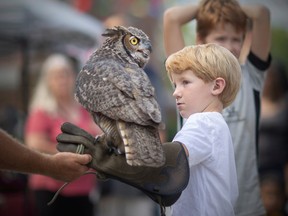 Landon Satterthwaite, 6, gets an owl placed on his arm during the birds of prey exhibit at the Amherstburg Uncommon Festival, on Saturday, Sept. 17, 2022.