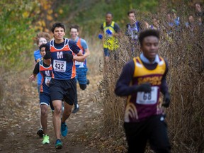 Runners compete in the senior boys' 6km race at the WECSSAA cross-country championships at Malden Park.