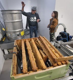 Dale Wright of Hawksview Honey gives Alyvvea Beemer, 11, a tour of the honey-making equipment on Saturday in Harrow as part of Open Farms Day in Essex County.