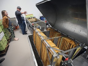 Dale Wright of Hawksview Honey gives Alyvvea Beemer, 11, a tour of the honey making equipment on Saturday, October 8, 2022. The tour was on one of the stops as part of Tourism Windsor Essex Pelee Island's Open Farms Day.