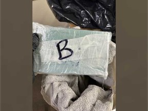 The package of fentanyl found by U.S. Border Patrol agents in Gibraltar, Michigan - across the Detroit River from Amherstburg.