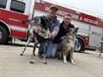 Firefighter Nick Stroesser, left, seven-year-old Pointer mix Arrow, firefighter Matt Stein and Jack, an 11-year-old Australian Shepherd, pose for a photo Thursday outside the Windsor-Essex County Humane Society. They helped launched a new holiday calendar, now available, that will raise money for the humane society.