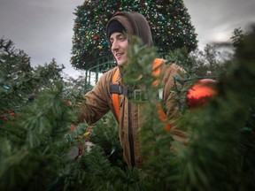 Rorison Industrial Electric's Jerrod Market is busy constructing a giant Christmas tree in the center of this year's Bright Lights in Jackson Park on Thursday, November 17, 2022.