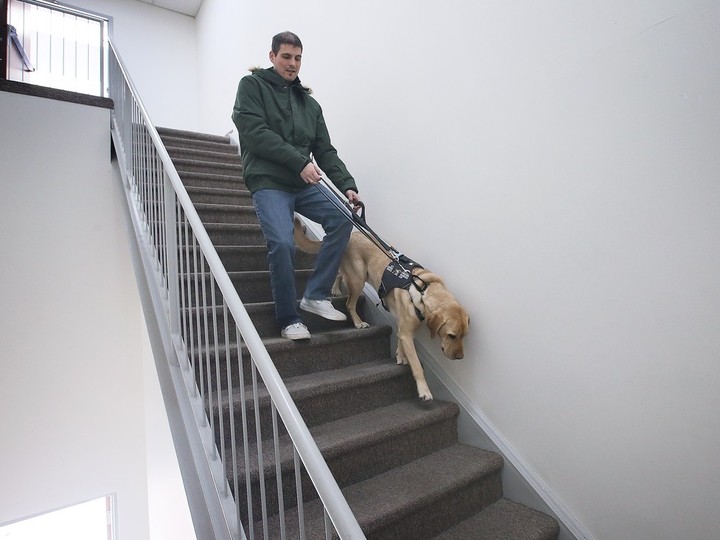  Ryan Hooey and his service dog Joe are shown at the Canadian National Institute for the Blind office in Windsor on Tuesday, November 22, 2022.
