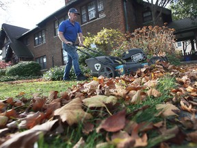 James Mullen uses a lawnmower to mulch up leaves before bagging them on Victoria Avenue on Friday, November 4, 2022.