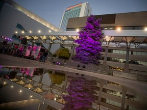 A tree is lit up in purple for the Hiatus House's 9th annual Shine the Light On at Charles Clark Square, on Tuesday, Nov. 1, 2022.  November is Woman Abuse Prevention Month in Ontario.