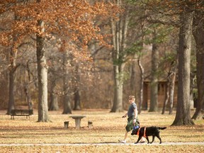 It was shorts and T-shirt weather in Windsor on Nov. 5, 2022. A man walks his dog at Optimist Memorial Park.