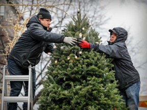 Brothers Isaac, left, and Hector Tito hang lights on Christmas trees in Place Jacques Cartier in Montreal in 2021.