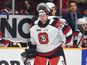 It's been a fast rise in the last year for Windsor native Max Donoso with the Ottawa 67's Photo courtesy: OHL Images