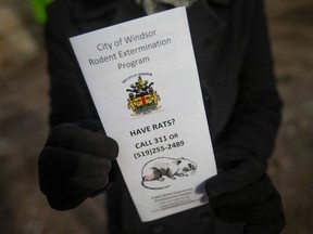 Anne Marie Albidone, manager of environmental services at the City of Windsor, holds a pamphlet for the City's rodent extermination program, on Wednesday, Dec. 21, 2022.