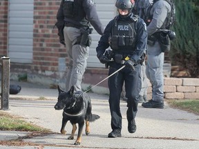 A Windsor police K9 and officer at the scene of a barricaded man in the city's east end on Dec. 1, 2022.