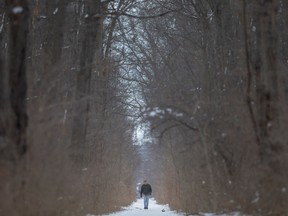 A man walks along the path intersecting Oakwood Park, on Saturday, Jan. 29, 2023.  The City of Windsor is currently conducting a survey on Urban Forest Management.