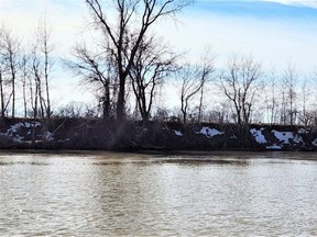 The Thames River is shown earlier in February at Parry Landing Park, west of Chatham. (Trevor Terfloth/The Daily News)
