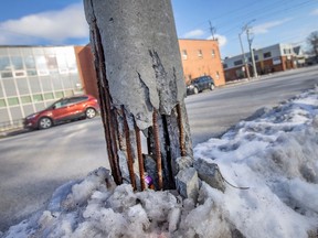 A damaged light pole on Erie Street East at Wigle Park in Windsor, photographed the morning of Feb. 3, 2023.