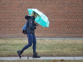 A pedestrian on College Avenue in Windsor holds her umbrella against freezing cold rain on Feb. 22, 2023.