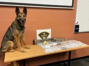 Ontario Provincial Police arrested two people and seized drugs, a firearm, and ammunition while executing a search warrant in Kingsville on March 10, 2023.