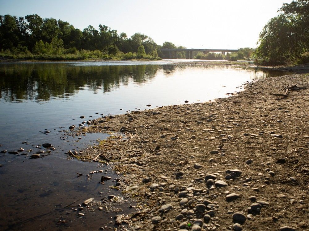 Much of drought-plagued U.S. West Coast faces salmon fishing ban - Vimarsana News