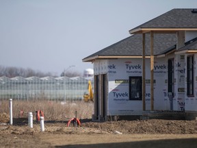 A residential subdivision is seen buttressing a greenhouse in Ruthven on Wednesday, March 1, 2023.