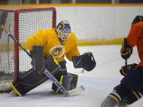 Ahead of Friday's U Sports men's hockey quarter-final game,  Windsor Lancers' goalie, Nathan Torchia, was named goaltender of the year.