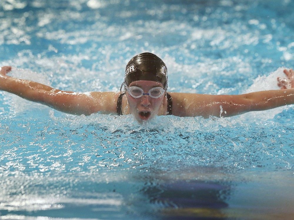 Area athletes set two meet records while claiming 12 medals overall at