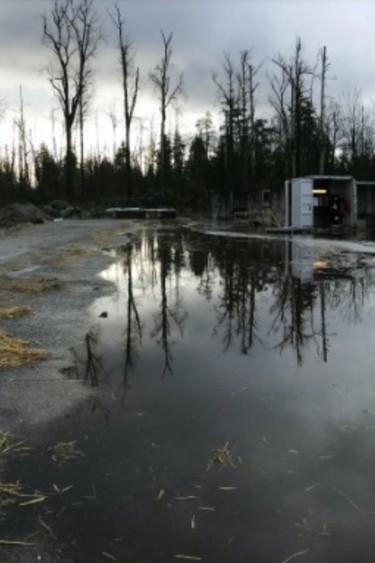 Delfresh — liquid waste, called goody water — overflows a storage tank and floods the surrounding area at Delfresh Mushroom Farm in Abbotsford. The liquid waste, containing bacteria, ammonia and nitrogen was ending up in Nathan Creek in Abbotsford, according to provincial inspections in November 2018.