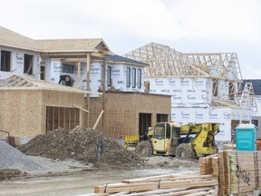 A construction crew builds homes in the Fox Field North subdivision in northwest London on March 30, 2022. (Derek Ruttan/The London Free Press)