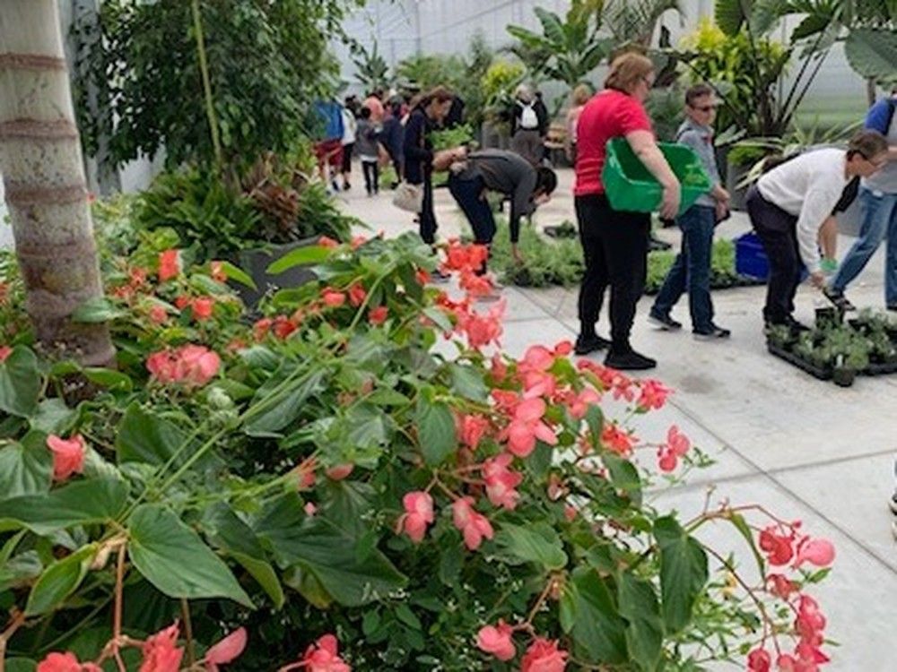 City's new Jackson Park greenhouse hosts annual plant sale Windsor Star