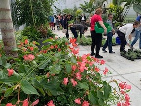 Gardening enthusiasts check out the offerings at the City of Windsor's annual Paul Martin Garden Perennial Plant Sale on Saturday, May 6, 2023 — the first time the event was held at the new greenhouse complex at Jackson Park, 2449 McDougall Street.