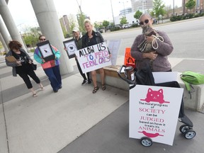 WINDSOR, ON. Monday, May 8, 2023 -- A small group of protesters gather outside city hall on Monday, May 8, 2023, to oppose the city's bylaw prohibiting the feeding of wild animals, particulatly feral cats.