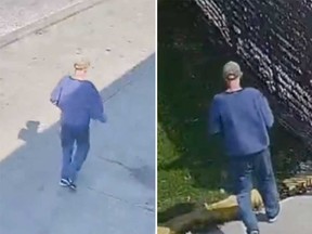 Surveillance camera images of the adult male suspect in the robbery of an elderly man at a bus stop on Walker Road on May 18, 2023.