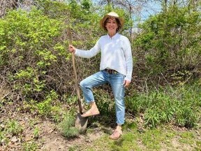 Rondeau cottager Cynthia Szypulain takes part in the white pine replanting in Rondeau Provincial Park recently. (Handout)
