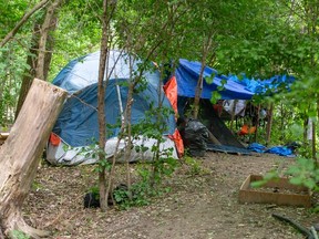 A homeless camp along the Thames River at Ann Street in London. The park is one of four in the city where service depots will be set up to provide food, water, washrooms and garbage cleanup for encampments. Photo taken on Tuesday, June 27, 2023. (Derek Ruttan/London Free Press)