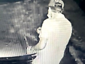 Chatham-Kent police have provided this image of a person wanted for drawing swastikas on vehicles, business doors and signs. Police are appealing to the public to help identify the suspect. (Handout)