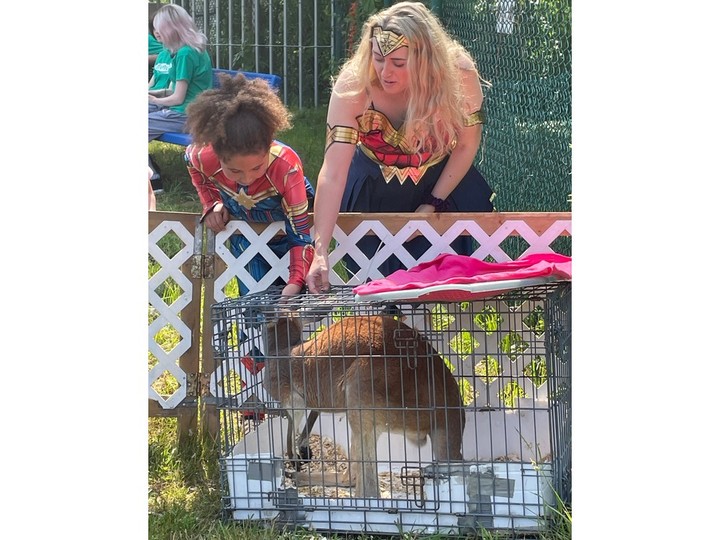  Jessica Duchesne and daughter Brooklyn, 7, check out the kangaroo at the John McGivney Children’s Centre Saturday, June 17, 2023, during the Superhero Fun Day.