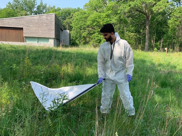  Krishna Tiwra, a student working at the Windsor-Essex County Health Unit, drags for ticks in the long grass at Ojibway Nature Centre on Friday, June 2, 2023.