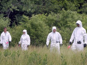 Forensic officers with the Windsor Police Service search for evidence in a wooded area in the 1900 block of Northway Avenue in Windsor on June 6, 2023.