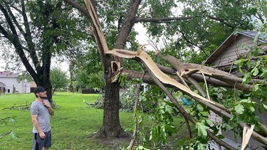 Harrow resident Dallas Lypps looks at a storm-damaged tree in his backyard on July 26, 2023.
