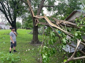Harrow resident Dallas Lypps looks at a storm-damaged tree in his backyard on July 26, 2023.