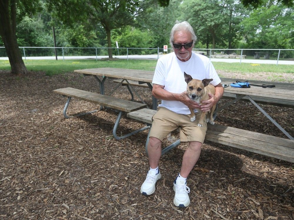 Improvements coming to Malden dog park Windsor Star
