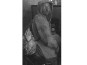 Police search for arsonist