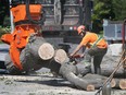 Riverside tree cutting