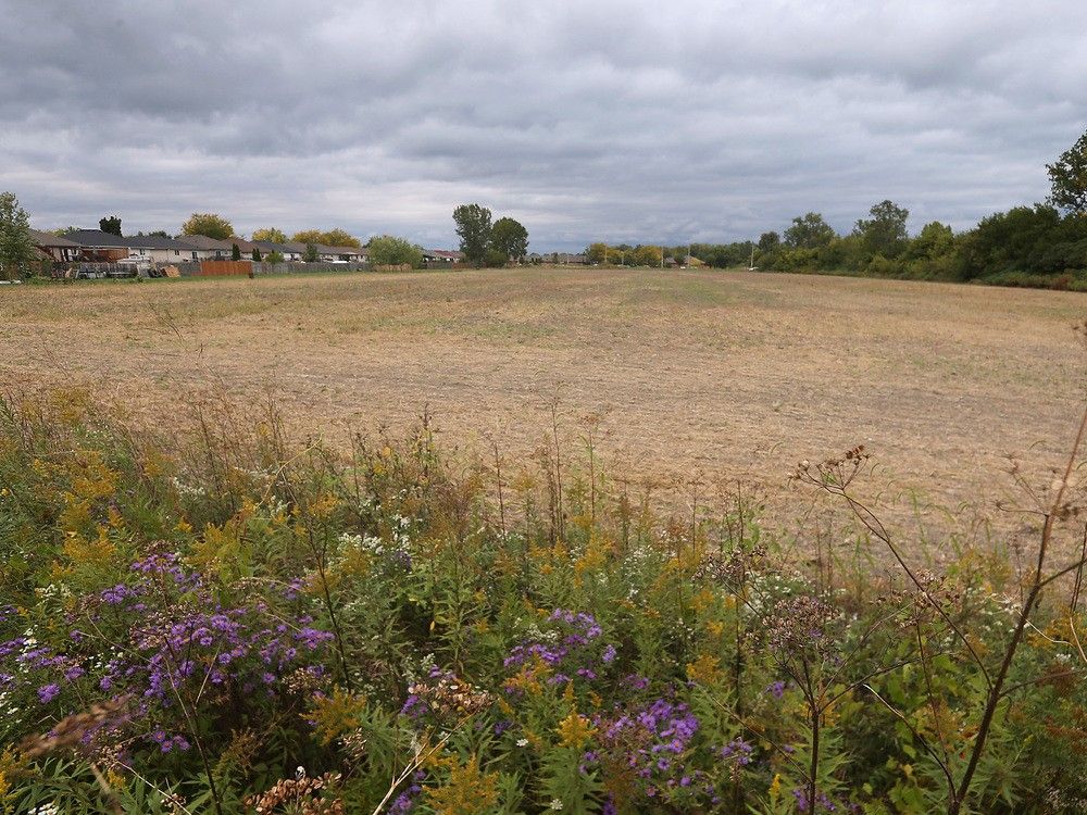 City to vote on hundreds of proposed new east Windsor housing units