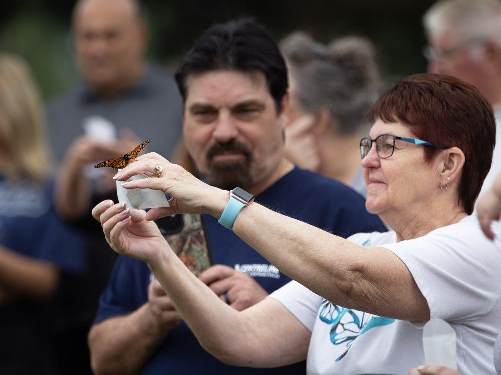 Butterfly release honours babies lost during, shortly after birth