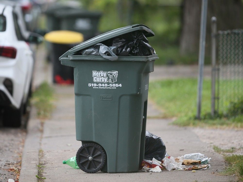 Windsor city council kicks alley garbage collection to the curb ...