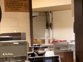 Screenshot of rat crawling down pipe from ceiling in Tim Hortons kitchen.