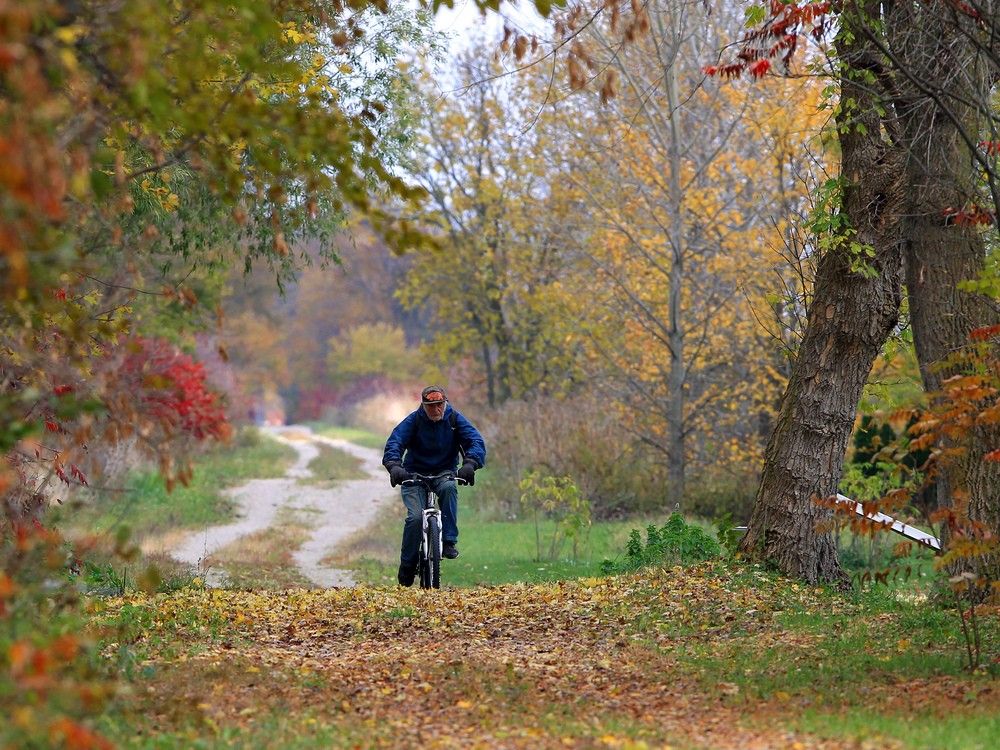 ADM donation to bring 300 trees to Chrysler Greenway Windsor Star