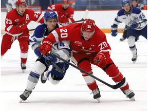 Newly acquired defenceman Connor Toms, at right, is seen in action for the Sault Ste. Marie Greyhounds against the Sudbury Wolves.
