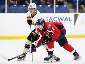 Sarnia Sting's Mitch Young, left, checks Windsor Spitfires' Jacob Maillet in OHL pre-season play at Sarnia's Pat Stapleton Arena Wednesday. The Sting won 5-1. After going scoreless in his first Ontario Hockey League regular season, Young has had three goals in seven games going into Friday’s visit to the Niagara IceDogs. He was tied for fourth in goals among OHL blue-liners. (Mark Malone/Sarnia Observer)